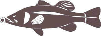 imagem do arquivo vetor para download PEIXE PARA PESCARIA DE FESTA JUNINA