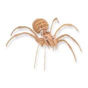 imagem do arquivo vetor para download Aranha 3D