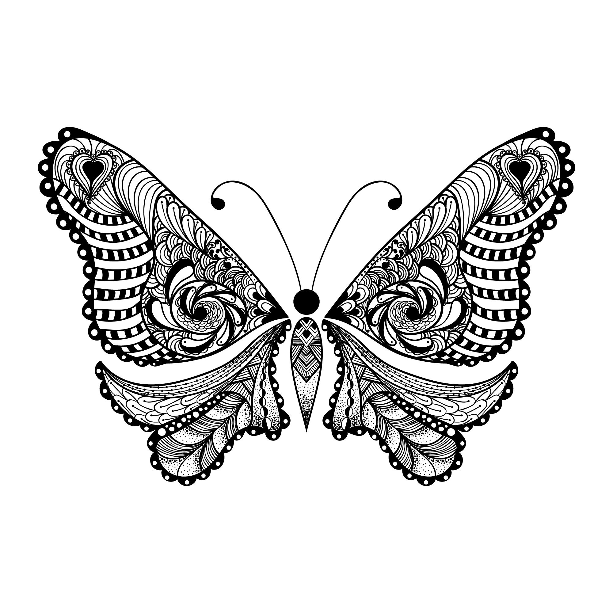 imagem do arquivo vetor para download Borboleta Zentangle