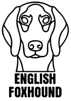 imagem do arquivo vetor para download Cabeça  de cão em vetor English Foxhound