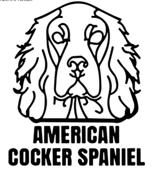 imagem do arquivo vetor para download Cabeça de Cão AMERICAN COCKER SPANIEL  em Vetor