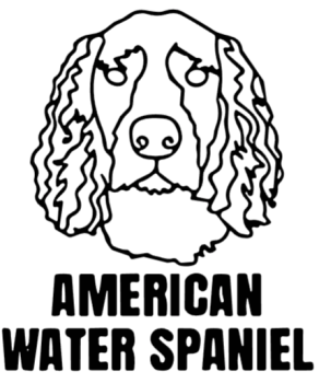 imagem do arquivo vetor para download Cabeça de Cão American Water Spaniel em Vetor