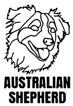 imagem do arquivo vetor para download Cabeça de Cão Australian Shepherd em Vetor