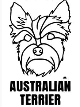 imagem do arquivo vetor para download Cabeça de Cão Australian Terrier em Vetor