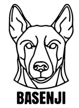 imagem do arquivo vetor para download Cabeça de Cão Basenji em Vetor