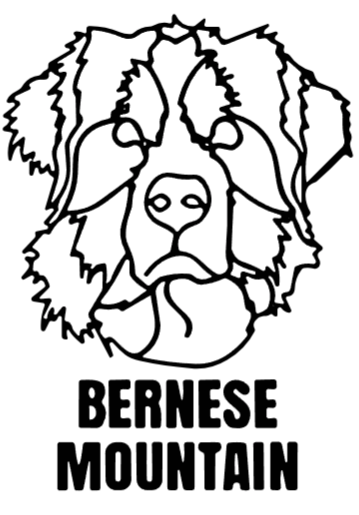 imagem do arquivo vetor para download Cabeça de Cão em vetor Bernese Mountain