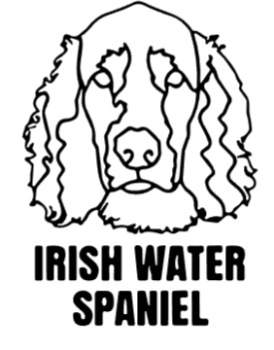 imagem do arquivo vetor para download Cabeça de cão Irish Water Spaniel em vetor
