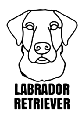 imagem do arquivo vetor para download Cabeça de cão Labrador Retreiver 