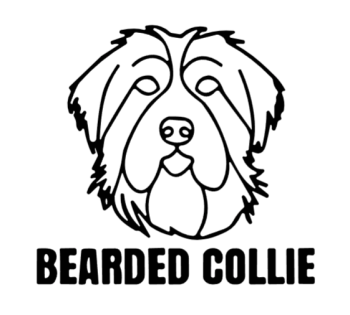 imagem do arquivo vetor para download Cabeça de cão em vetor Bearded Collie
