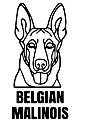 imagem do arquivo vetor para download Cabeça de cão em vetor Belgian Malinois