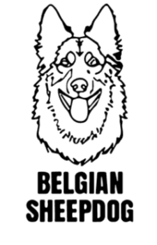 imagem do arquivo vetor para download Cabeça de cão em vetor Belgian Sheepdog