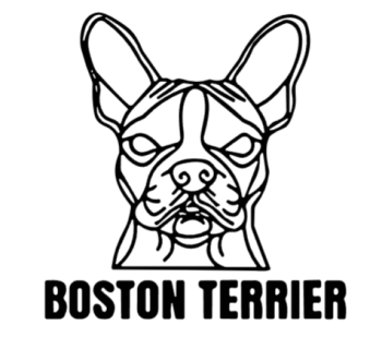 imagem do arquivo vetor para download Cabeça de cão em vetor Boston Terrier