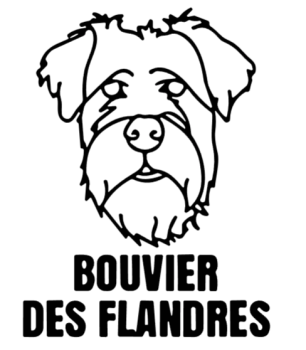 imagem do arquivo vetor para download Cabeça de cão em vetor Bouvier des Flandres