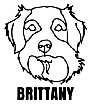 imagem do arquivo vetor para download Cabeça de cão em vetor Brittany