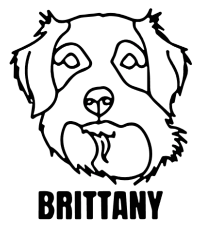 imagem do arquivo vetor para download Cabeça de cão em vetor Brittany