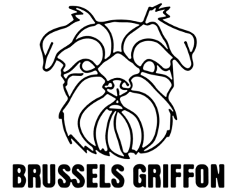 imagem do arquivo vetor para download Cabeça de cão em vetor Brussels Grifffon