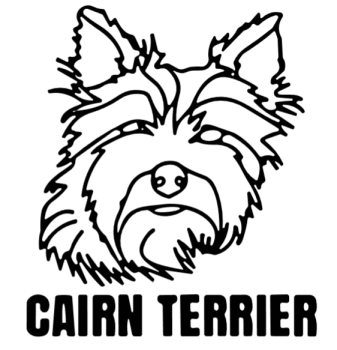 imagem do arquivo vetor para download Cabeça de cão em vetor Cairn Terrier