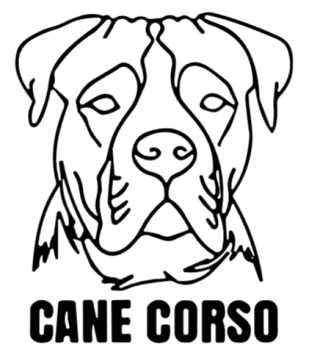 imagem do arquivo vetor para download Cabeça de cão em vetor Cane corso