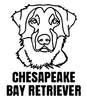 imagem do arquivo vetor para download Cabeça de cão em vetor Chesapeake bay Retriever 