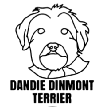 imagem do arquivo vetor para download Cabeça de cão em vetor Dandie Dinmont Terrier