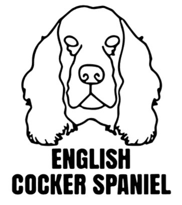 imagem do arquivo vetor para download Cabeça de cão em vetor English Cocker Spaniel 