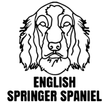 imagem do arquivo vetor para download Cabeça de cão em vetor English Springer Spaniel