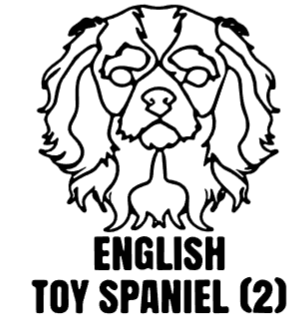 imagem do arquivo vetor para download Cabeça de cão em vetor English Toy Spaniel 2
