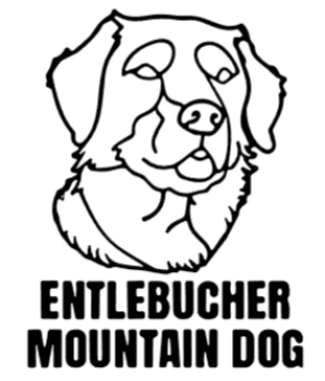 imagem do arquivo vetor para download Cabeça de cão em vetor Entlebucher Mountain Dog