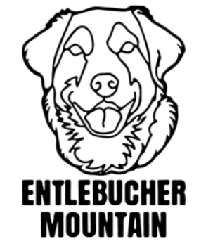 imagem do arquivo vetor para download Cabeça de cão em vetor Entlebucher Mountain