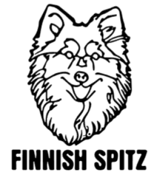 imagem do arquivo vetor para download Cabeça de cão em vetor Finnish Spitz