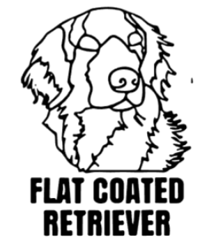imagem do arquivo vetor para download Cabeça de cão em vetor Flat coated retriever