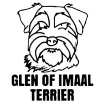imagem do arquivo vetor para download Cabeça de cão em vetor Glen of imaal terreier