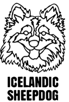 imagem do arquivo vetor para download Cabeça de cão em vetor Icelandic Sheepdog