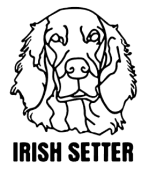 imagem do arquivo vetor para download Cabeça de cão em vetor Irish Setter