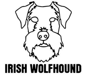 imagem do arquivo vetor para download Cabeça de cão em vetor Irish WolfHound