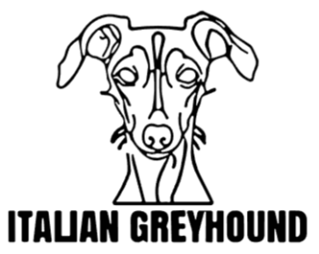 imagem do arquivo vetor para download Cabeça de cão em vetor Italian GreyHound 
