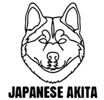 imagem do arquivo vetor para download Cabeça de cão em vetor Japanese Akita