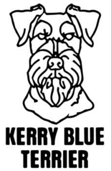 imagem do arquivo vetor para download Cabeça de cão em vetor Kerry Blue Terrier