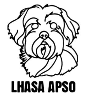 imagem do arquivo vetor para download Cabeça de cão em vetor Lhasa Apso
