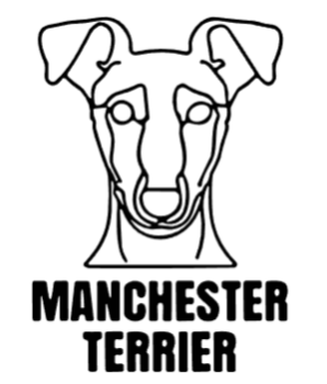 imagem do arquivo vetor para download Cabeça de cão em vetor Manchester Terrier