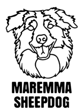 imagem do arquivo vetor para download Cabeça de cão em vetor Maremma Sheepdog
