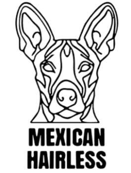 imagem do arquivo vetor para download Cabeça de cão em vetor Mexican Hairless