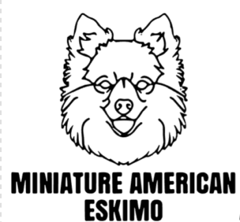 imagem do arquivo vetor para download Cabeça de cão em vetor Miniature American Eskimo