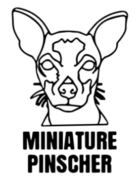 imagem do arquivo vetor para download Cabeça de cão em vetor Miniature Pinscher