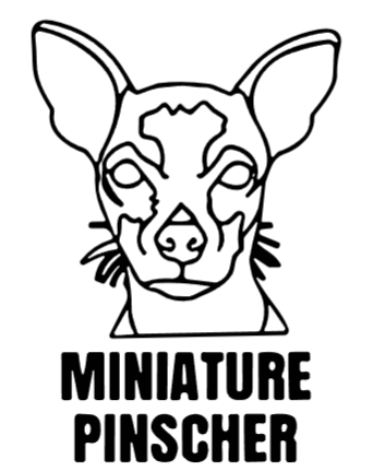 imagem do arquivo vetor para download Cabeça de cão em vetor Miniature Pinscher 