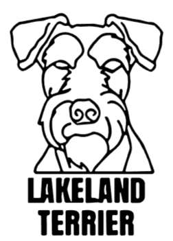 imagem do arquivo vetor para download Cabeça de cão em vetor  Lakeland Terrier 