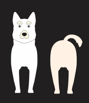 imagem do arquivo vetor para download Caixa Cão Husky