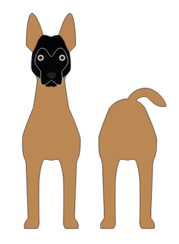 imagem do arquivo vetor para download Caixa Cão Pastor belga malinois