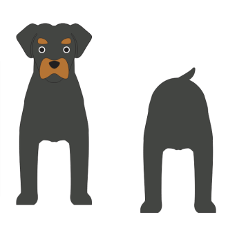 imagem do arquivo vetor para download Caixa Cão Rottweiler