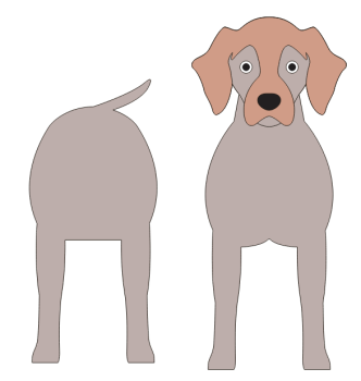 imagem do arquivo vetor para download Caixa Cão Weimaraner
